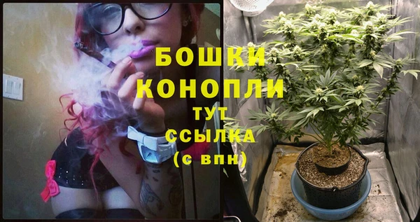 2c-b Богданович