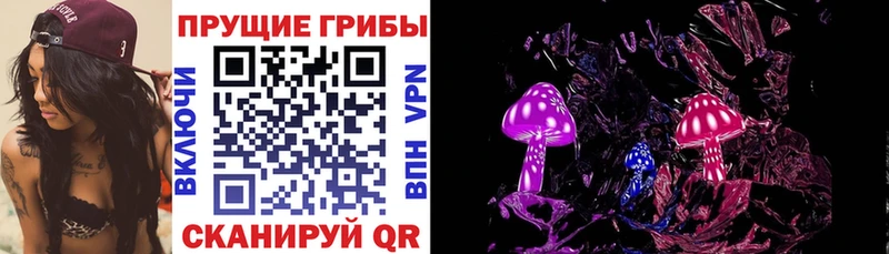 Псилоцибиновые грибы Psilocybine cubensis  mega онион  Нариманов 